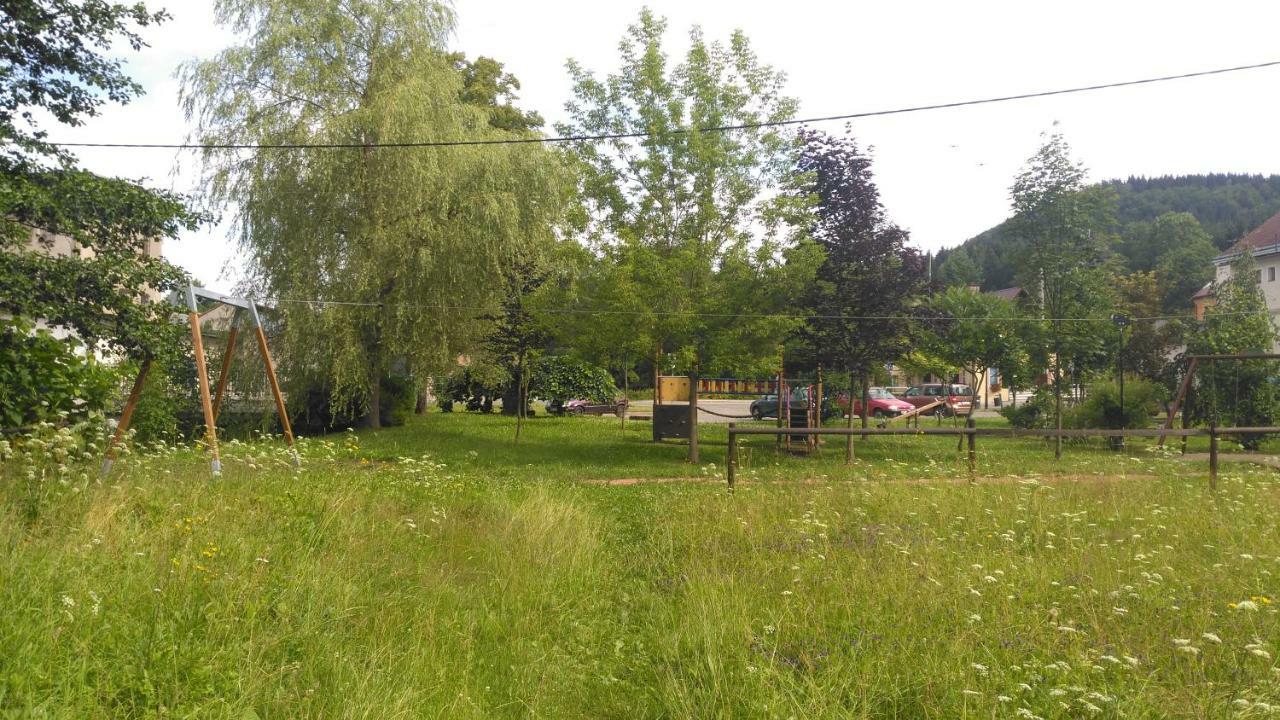 Ubytovani U Svecu U Adrspachu Jívka Exteriör bild